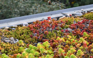 the cost of Bindal green roof installation