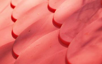 Bindal plastic roof costs